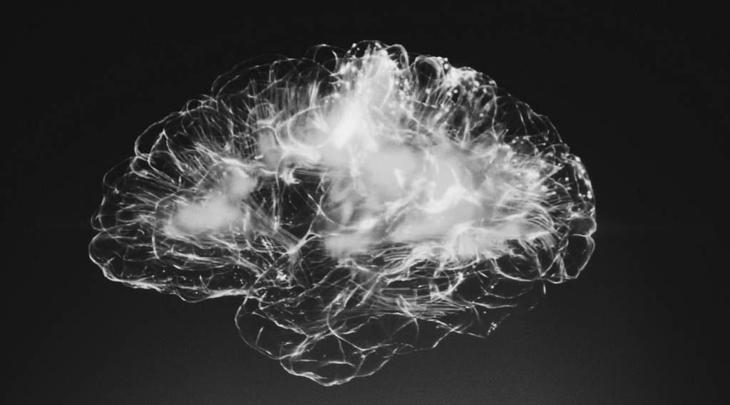 Side view of a brain rendered as a translucent cloud-like form