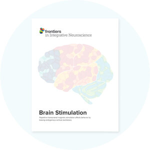 Book cover with a brain illustration on a white background